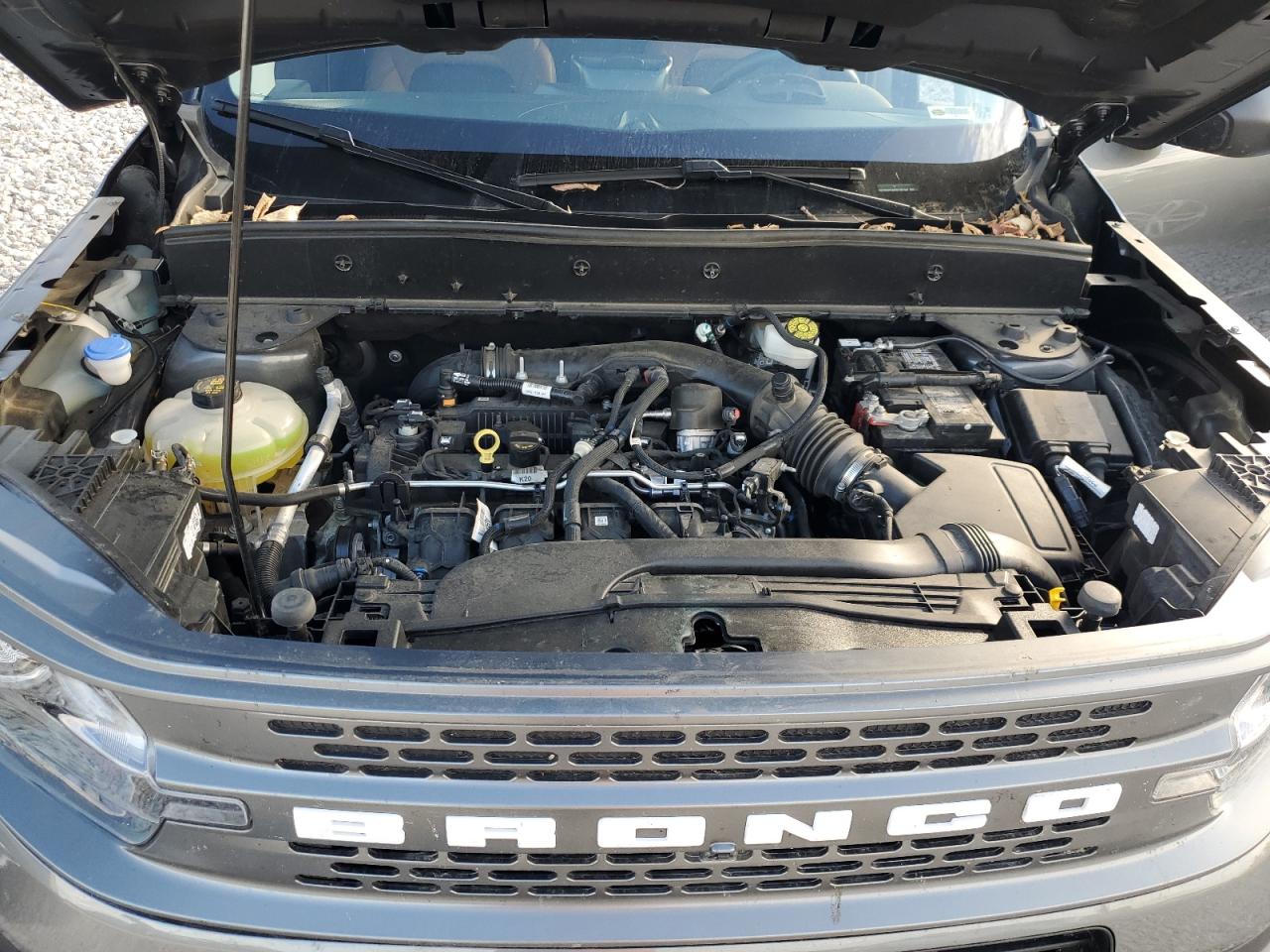 2024 Ford Bronco Sport Badlands VIN: 3FMCR9D94RRE35788 Lot: 82397645