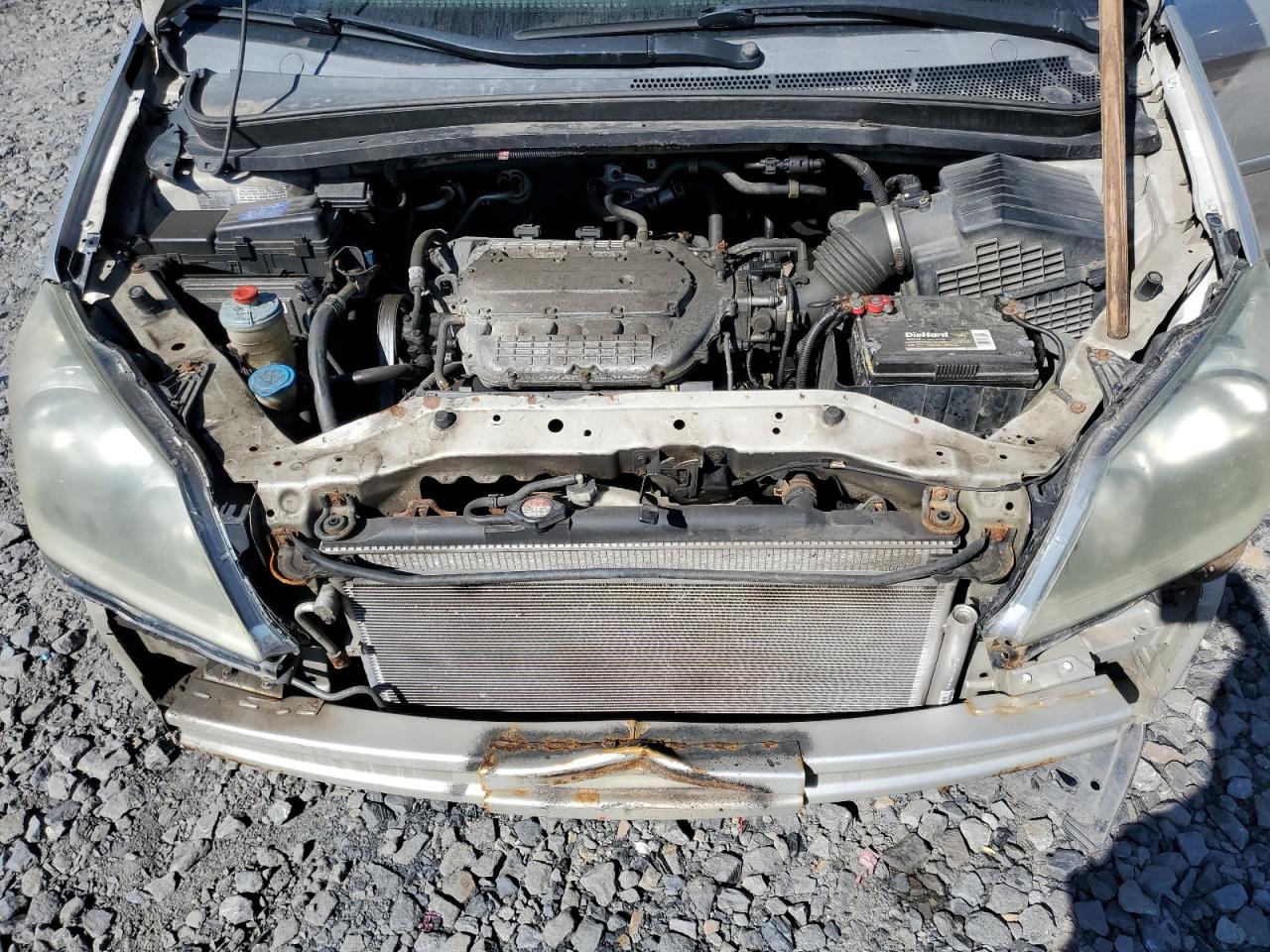 2007 Honda Odyssey Exl VIN: 5FNRL38647B404522 Lot: 81720235