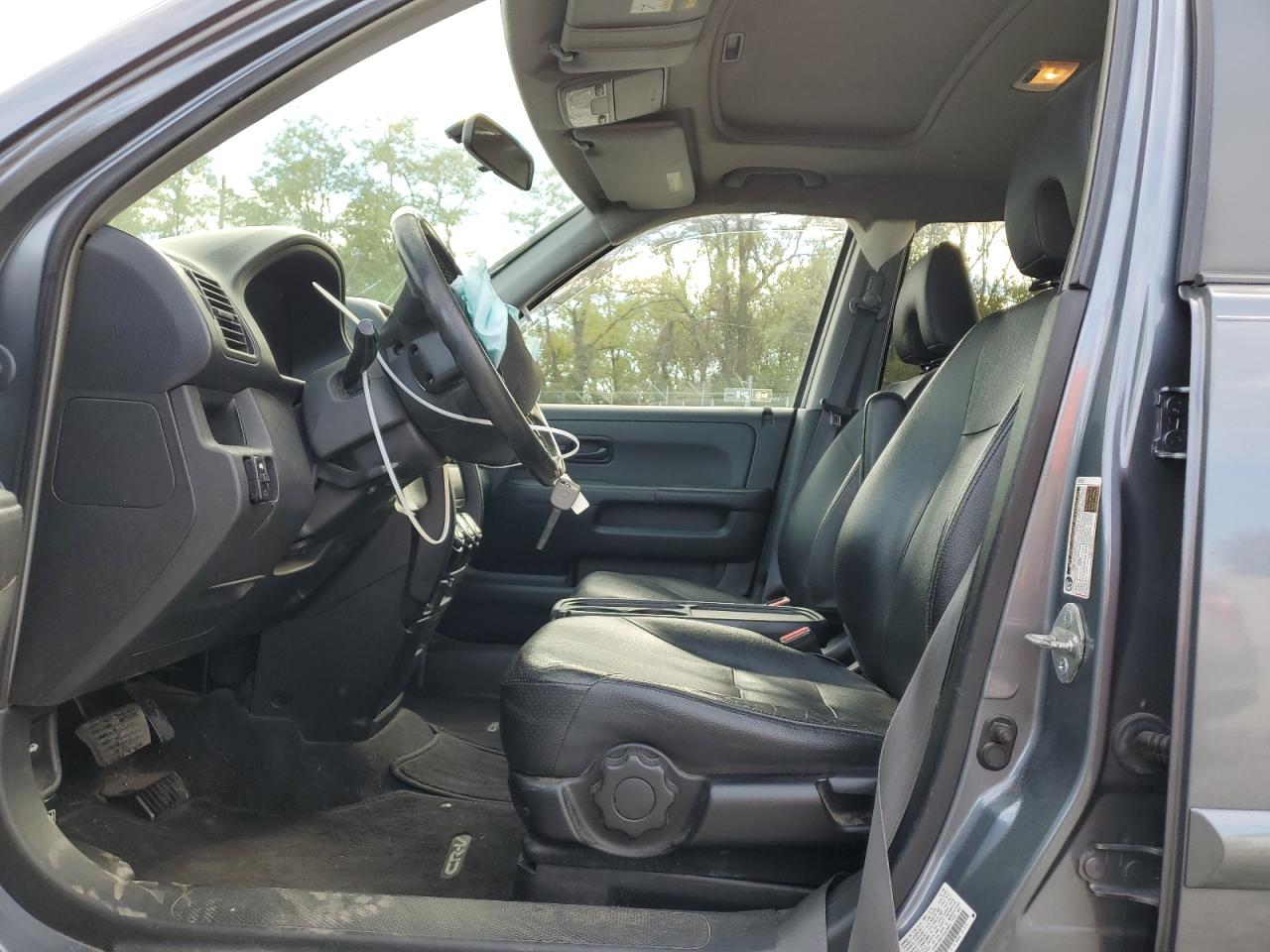 2006 Honda Cr-V Se VIN: SHSRD78916U445891 Lot: 87208695