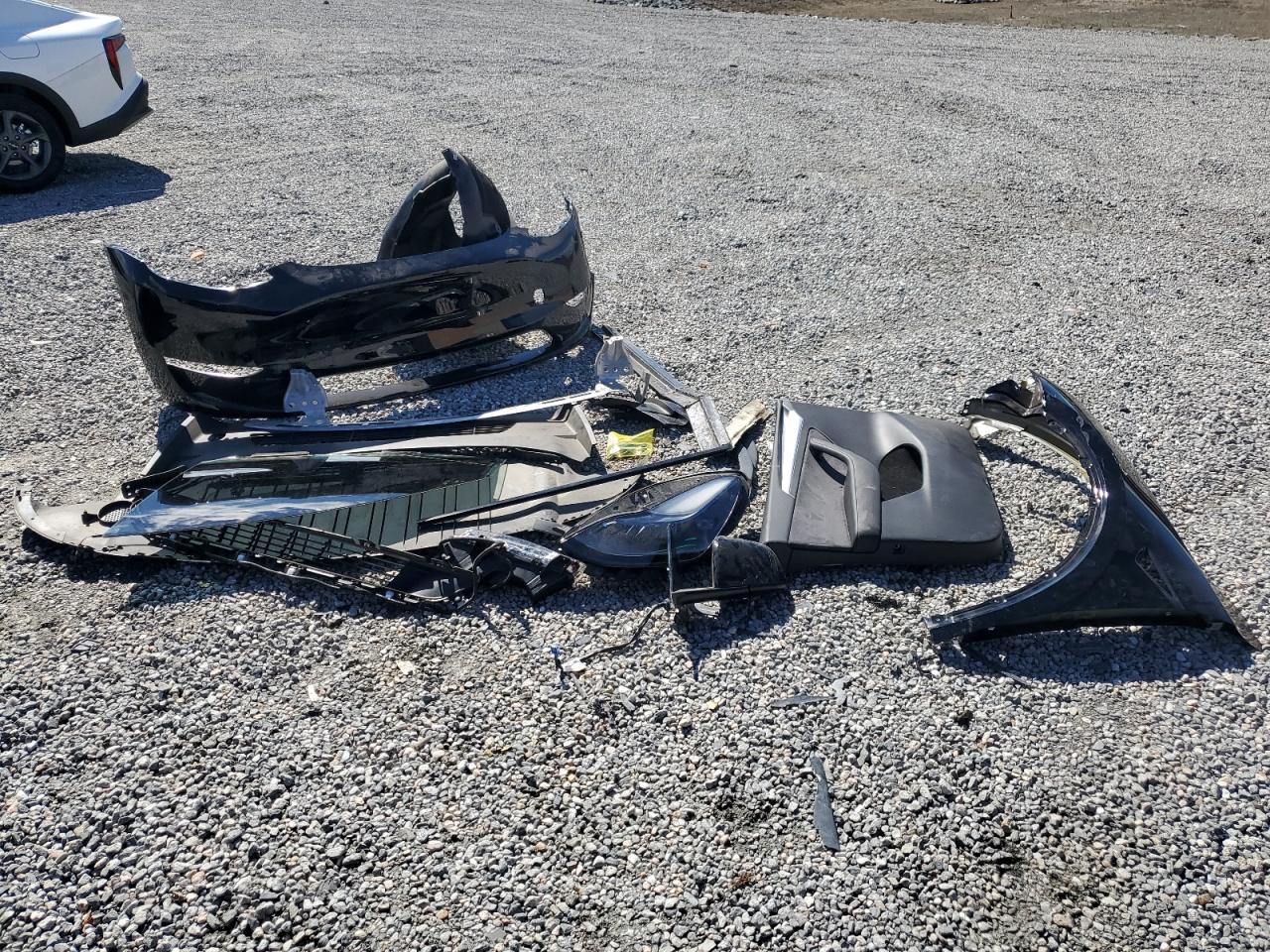 2024 Tesla Model Y VIN: 7SAYGAEE4RF982772 Lot: 85946255