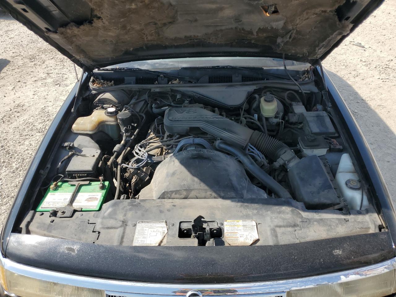 1994 Mercury Grand Marquis Ls VIN: 2MELM75W1RX625396 Lot: 85178805