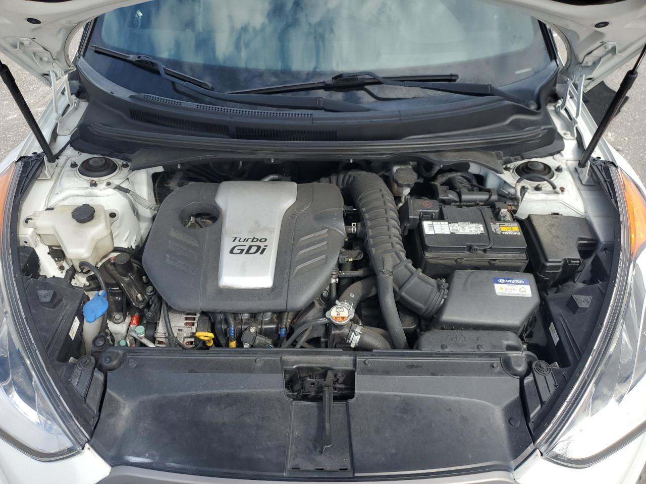 2016 Hyundai Veloster Turbo VIN: KMHTC6AE7GU292343 Lot: 81943395