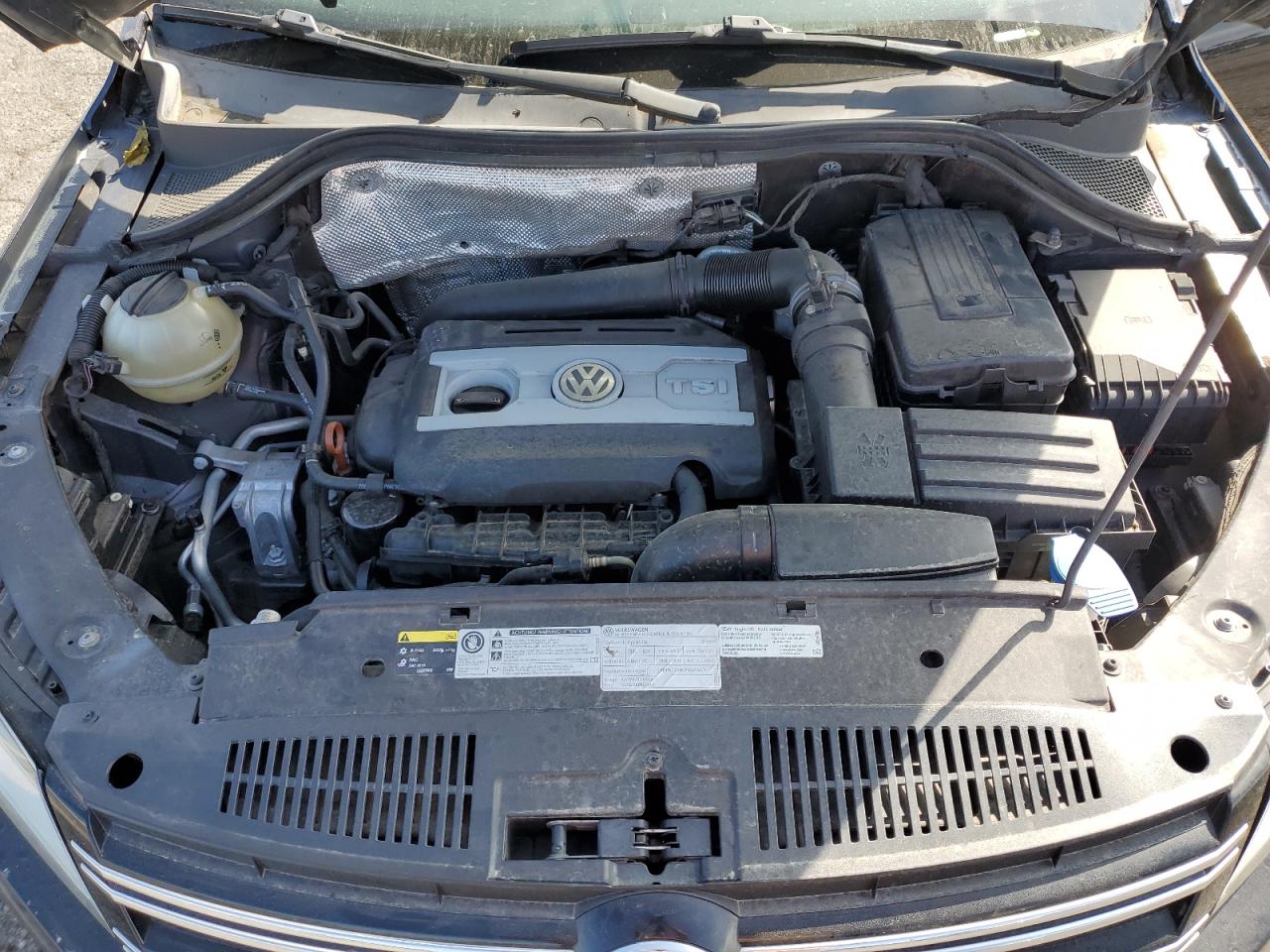 2013 Volkswagen Tiguan S VIN: WVGAV3AX0DW561039 Lot: 84819655