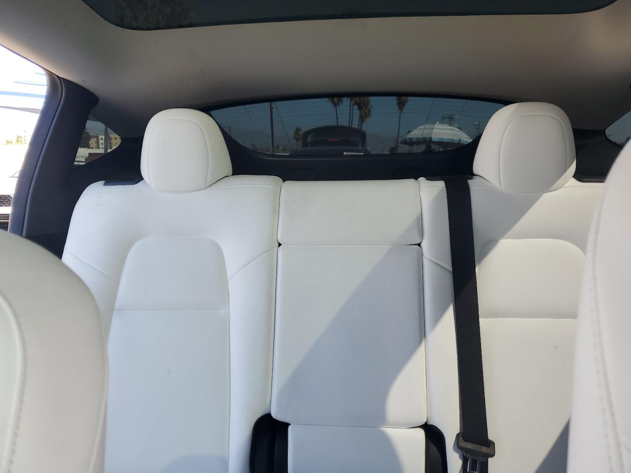 2023 Tesla Model Y VIN: 7SAYGDEE4PF624909 Lot: 81964745