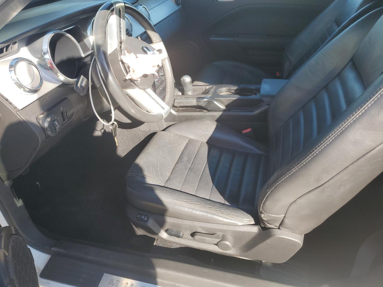 2009 Ford Mustang Gt VIN: 1ZVHT85H395123053 Lot: 86264815