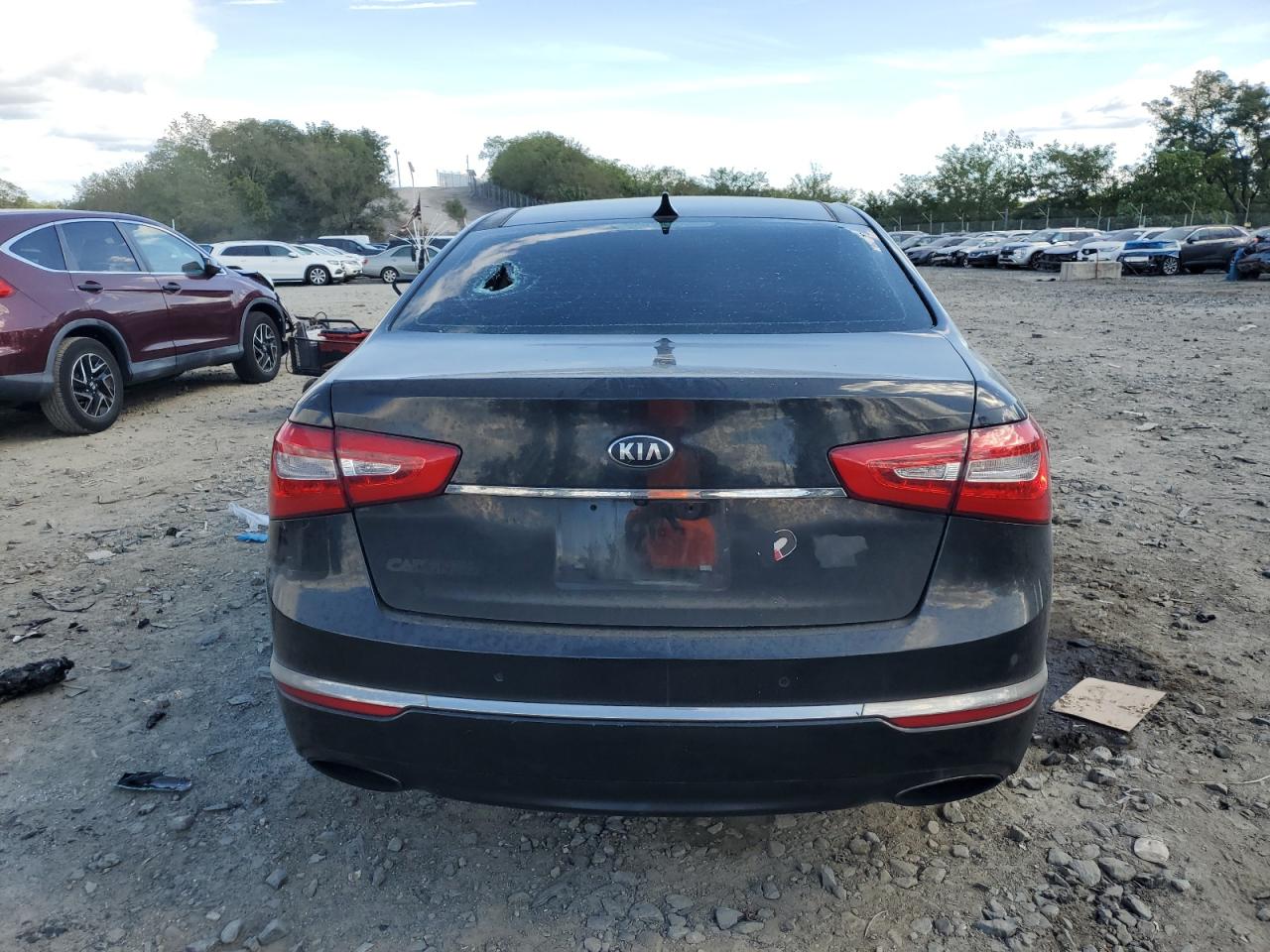 2014 Kia Cadenza Premium VIN: KNALN4D77E5166679 Lot: 82205585