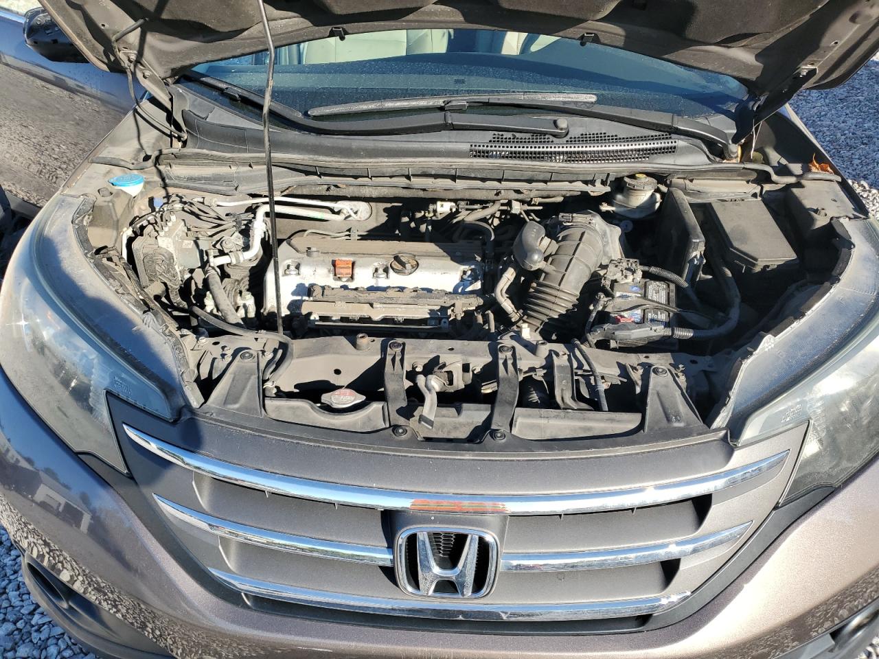 2014 Honda Cr-V Ex VIN: 2HKRM4H51EH646631 Lot: 90014955