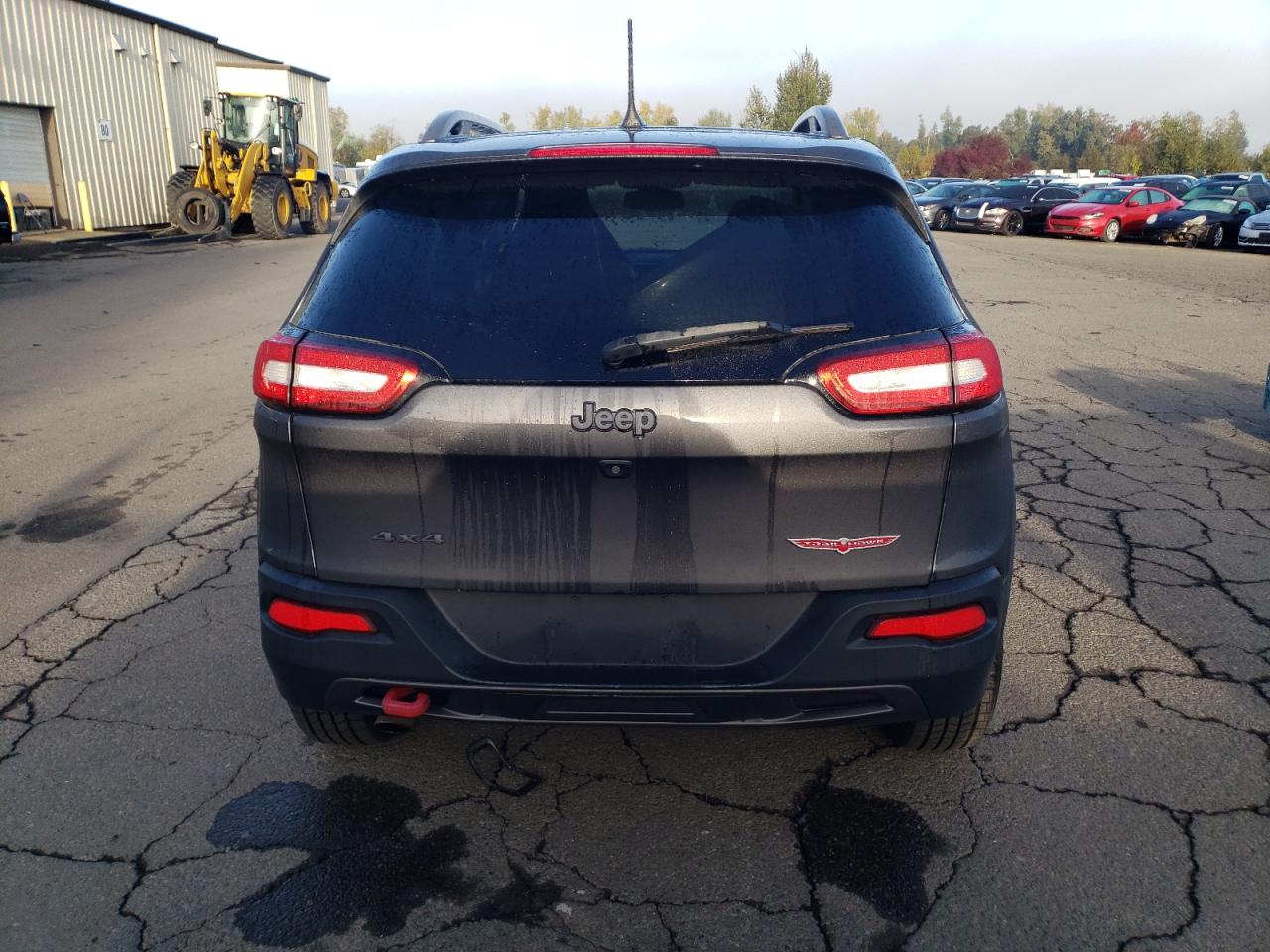 2016 Jeep Cherokee Trailhawk VIN: 1C4PJMBB5GW254120 Lot: 87077485