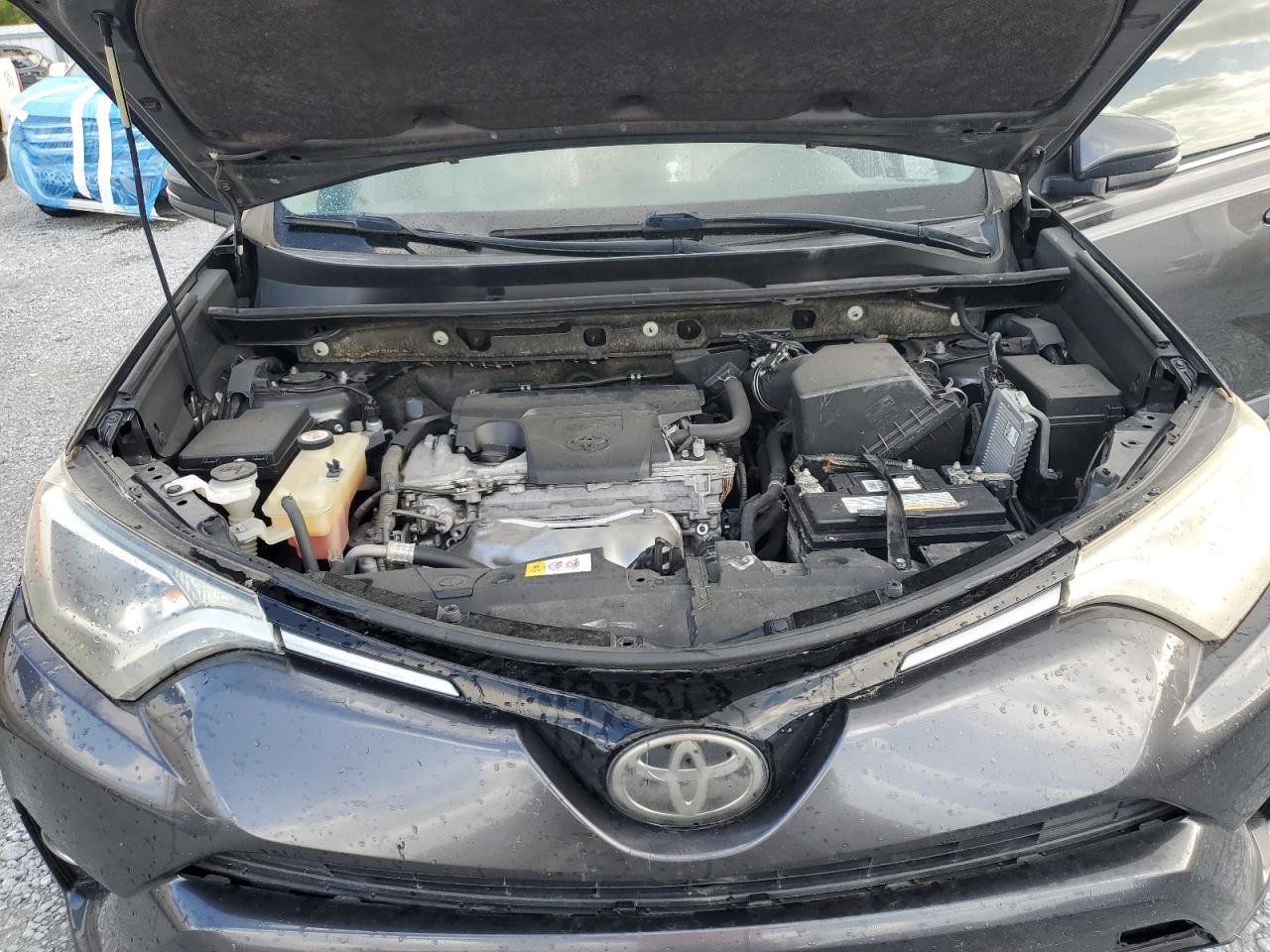 2017 Toyota Rav4 Xle VIN: JTMWFREV0HJ142114 Lot: 81809215