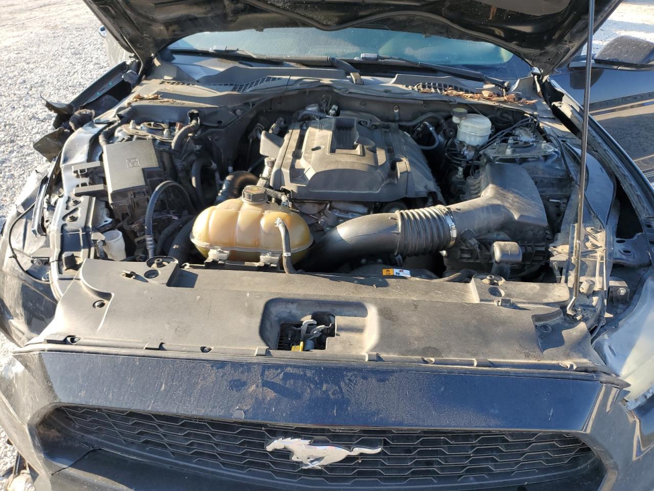 2015 Ford Mustang VIN: 1FA6P8TH8F5326572 Lot: 81927615