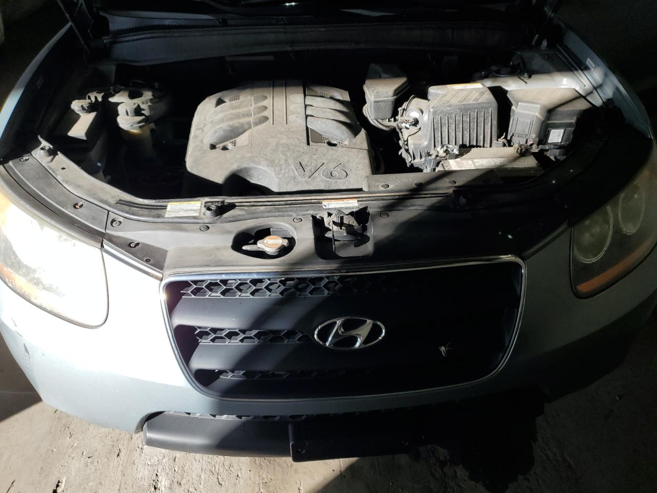 2009 Hyundai Santa Fe Se VIN: 5NMSH13E19H233736 Lot: 84374765