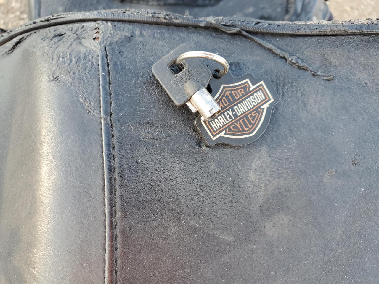 2002 Harley-Davidson Fxsti VIN: 1HD1BVB1X2Y072182 Lot: 85504275