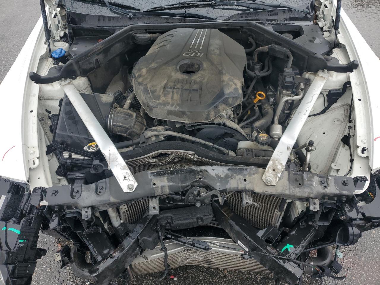 2019 Kia Stinger VIN: KNAE15LA9K6048033 Lot: 82461695