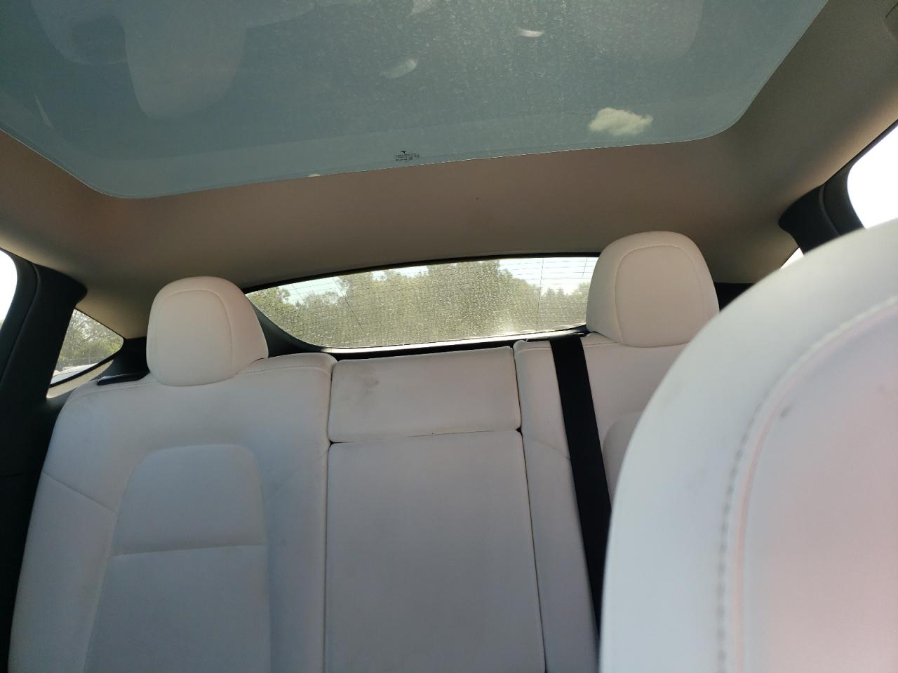 2022 Tesla Model Y VIN: 7SAYGAEE7NF433884 Lot: 81684165