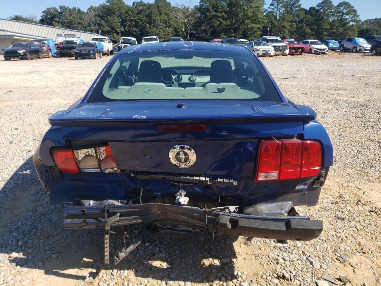 2008 Ford Mustang VIN: 1ZVHT80N285155570 Lot: 85408105