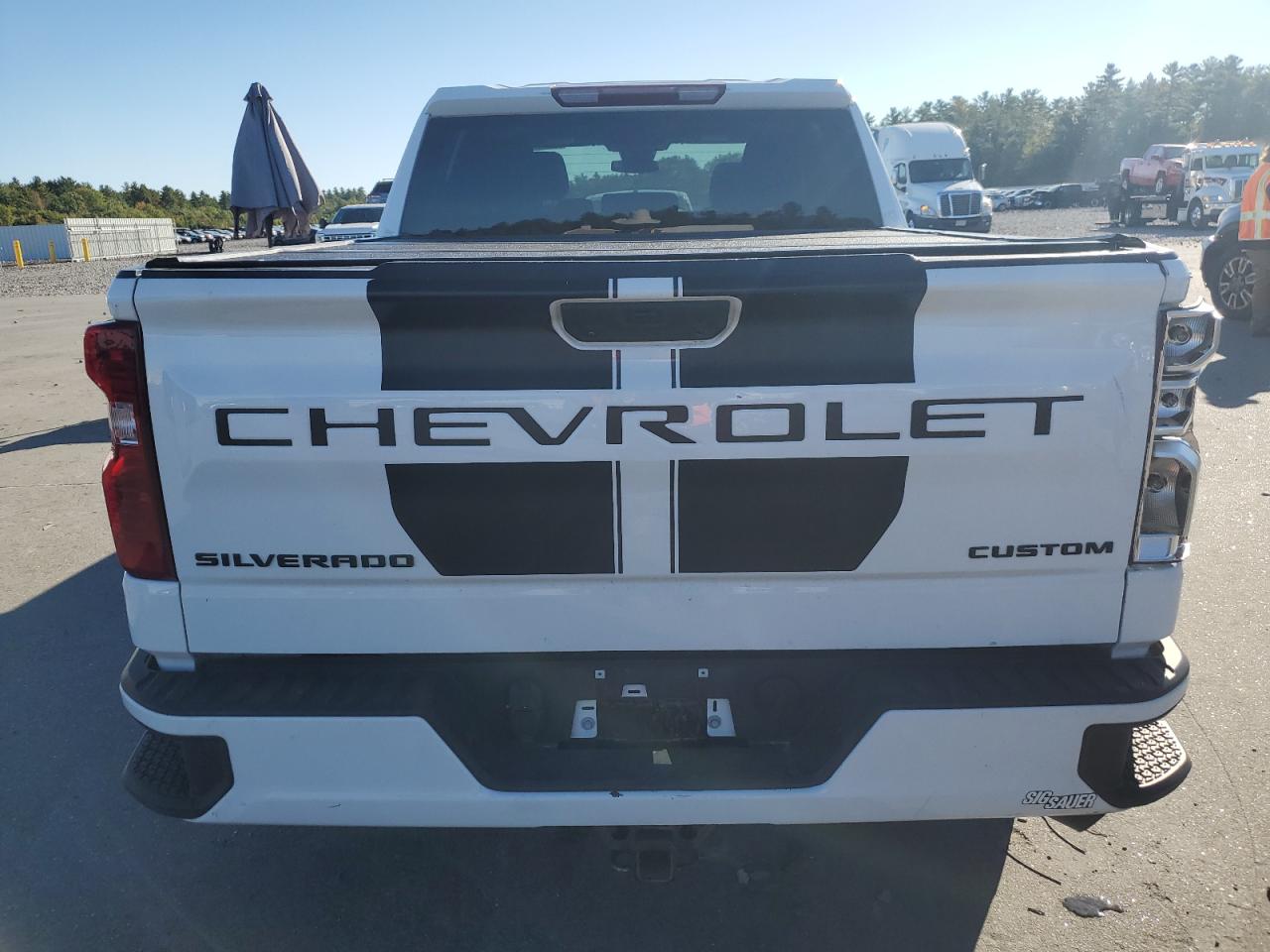 2022 Chevrolet Silverado K1500 Custom VIN: 1GCPDBEK7NZ526198 Lot: 81695375