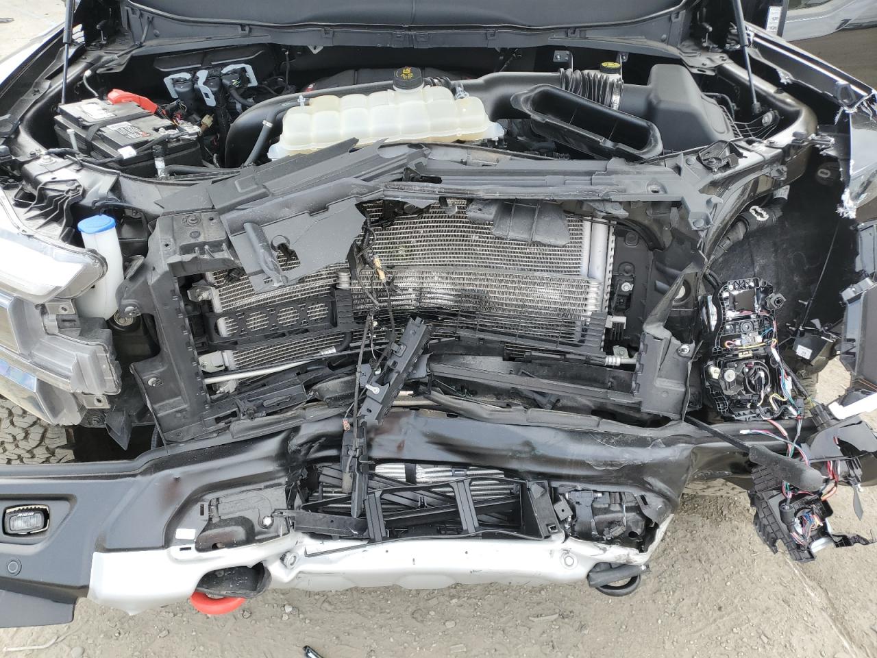 2024 Ford F150 Raptor VIN: 1FTFW1RG9RFA55975 Lot: 82423555