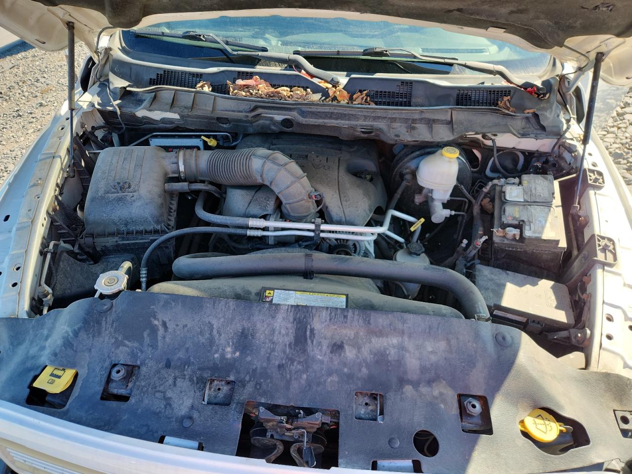 2009 Dodge Ram 1500 VIN: 1D3HV18T89S808386 Lot: 84799455