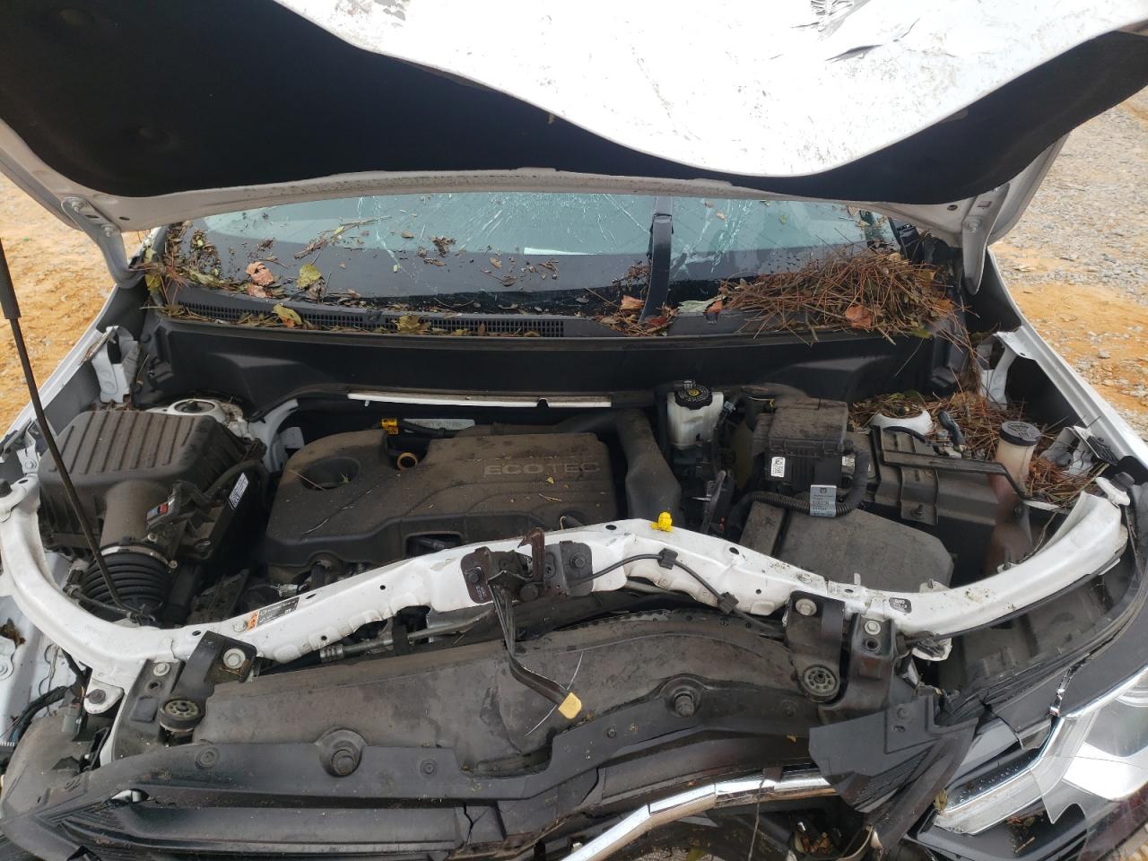 2021 Chevrolet Equinox Lt VIN: 3GNAXKEV3MS121983 Lot: 82281895