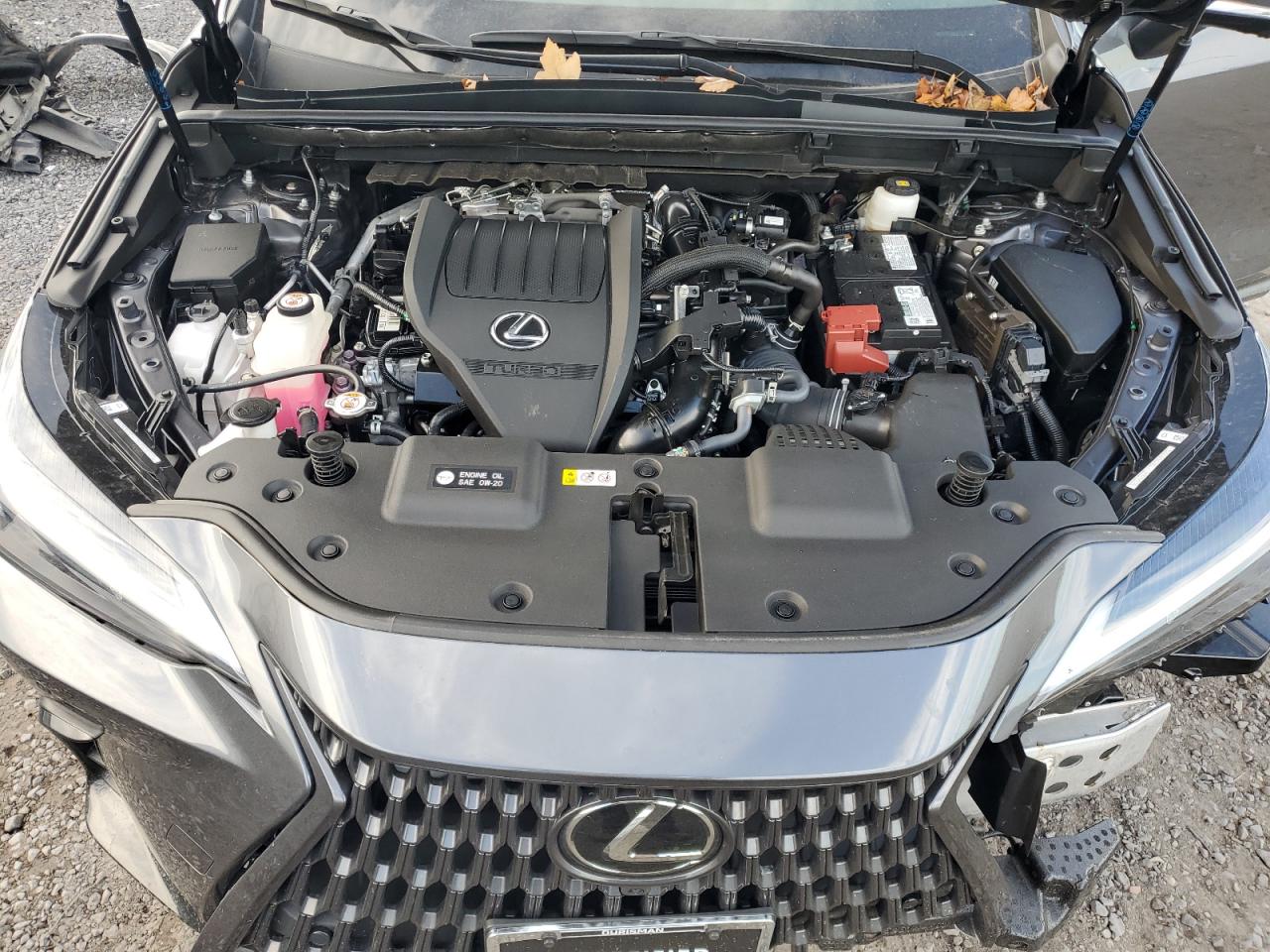 2024 Lexus Nx 350 Premium VIN: 2T2GGCEZ3RC056645 Lot: 84256395