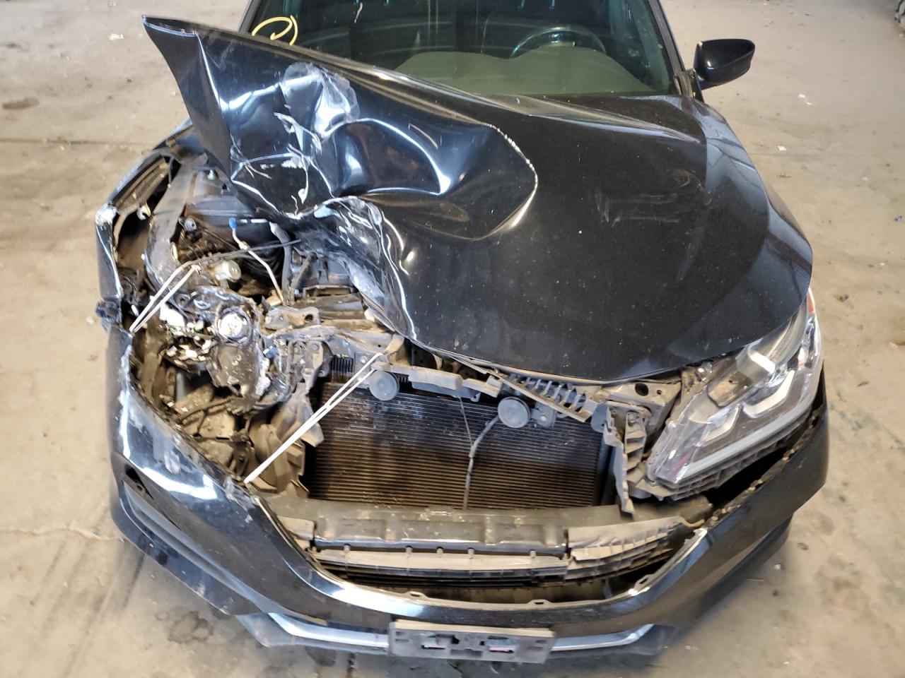 2016 Honda Accord Sport VIN: 1HGCR2F50GA227311 Lot: 81927575