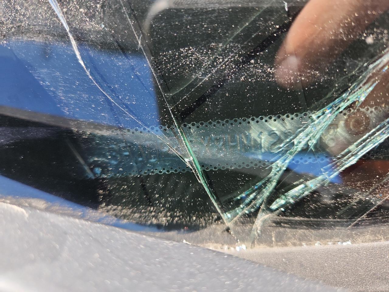 2017 Ford Fiesta St VIN: 3FADP4GX8HM123518 Lot: 85753555