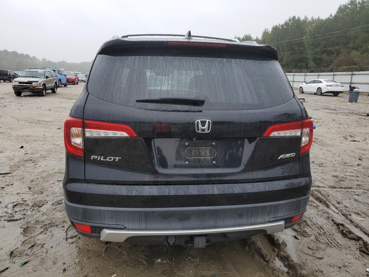 2019 Honda Pilot Exl VIN: 5FNYF6H54KB080184 Lot: 82431125