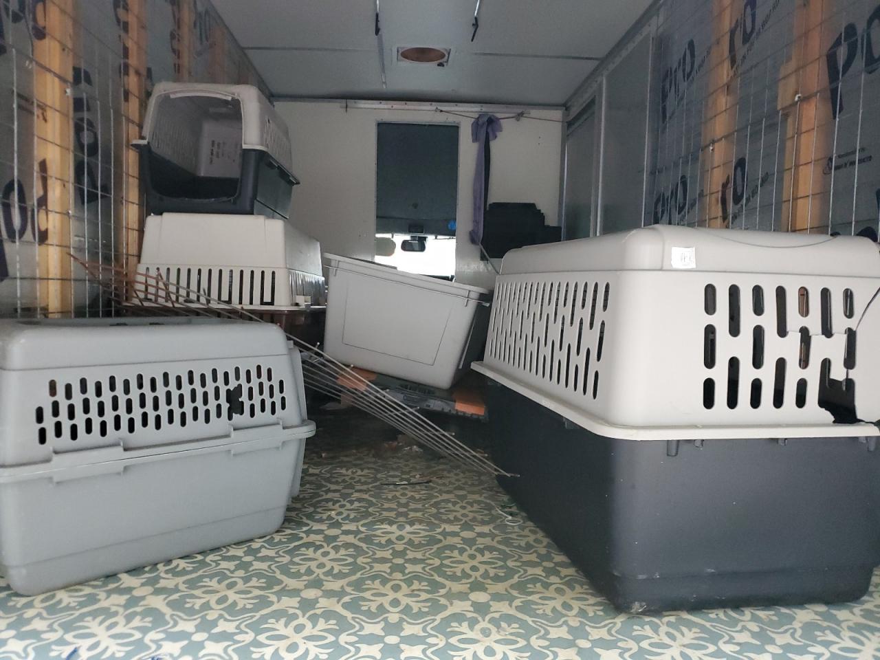 2021 Chevrolet Express G3500 VIN: 1HA3GTC74MN007461 Lot: 89817215