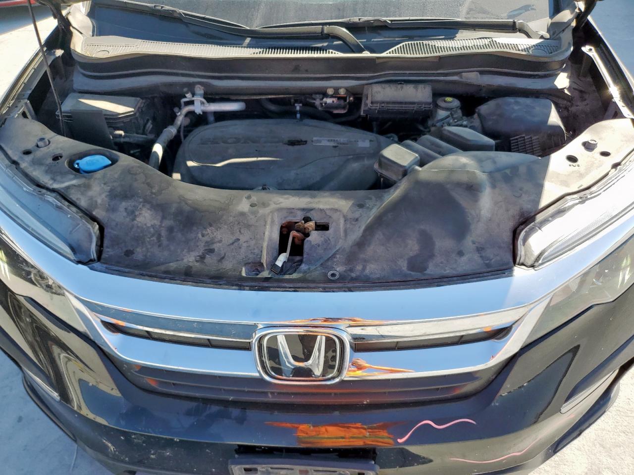 2019 Honda Pilot Exl VIN: 5FNYF5H51KB046228 Lot: 85195915