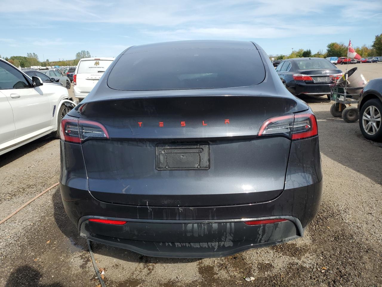 2024 Tesla Model Y VIN: 7SAYGDEE3RF991576 Lot: 71881635