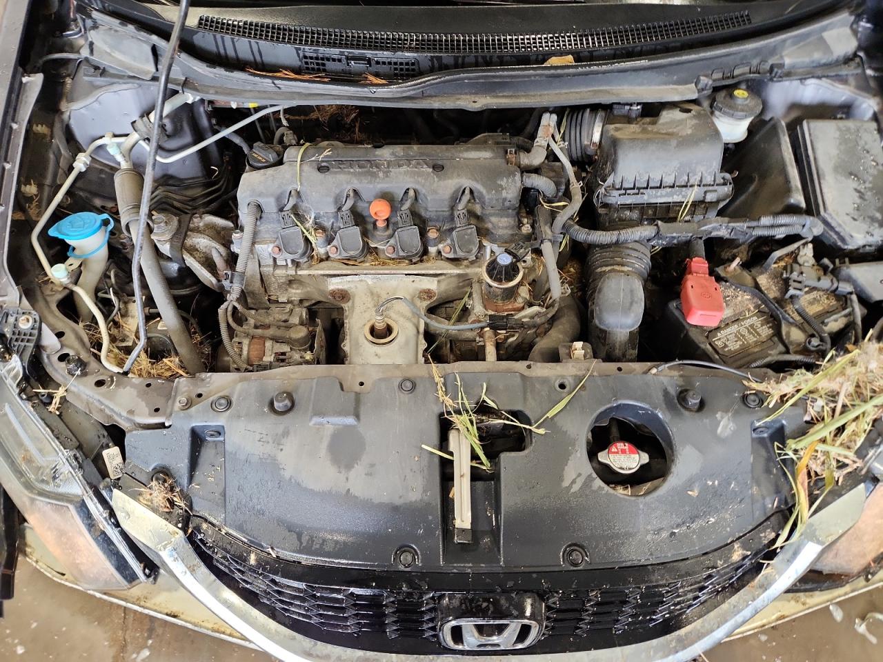 2014 Honda Civic Ex VIN: 19XFB2F86EE065513 Lot: 82235615