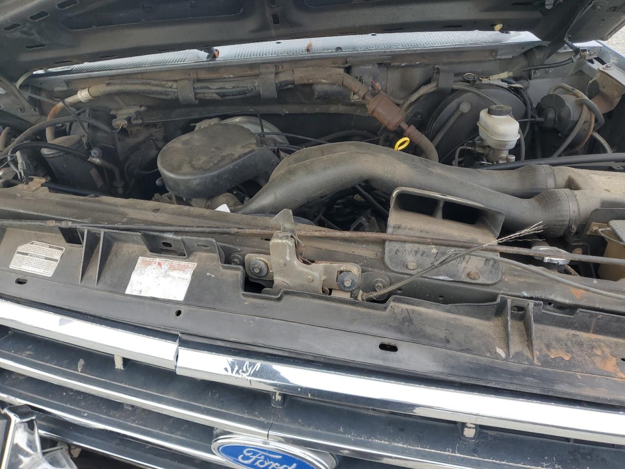 1989 Ford F150 VIN: 1FTDF15N0KNB40565 Lot: 85866815