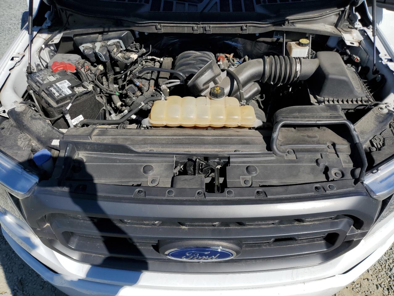 2021 Ford F150 Supercrew VIN: 1FTFW1E59MKD06613 Lot: 50126905