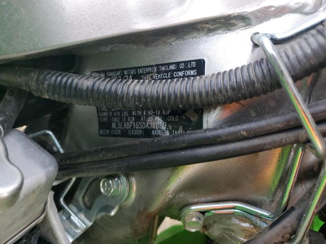 2025 KAWASAKI KLX300 F  