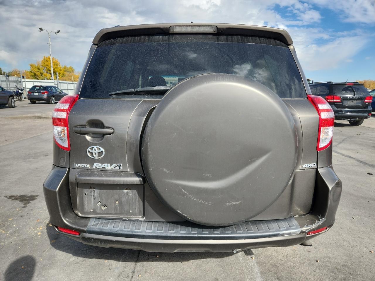2010 Toyota Rav4 VIN: 2T3BF4DV6AW031254 Lot: 82634975