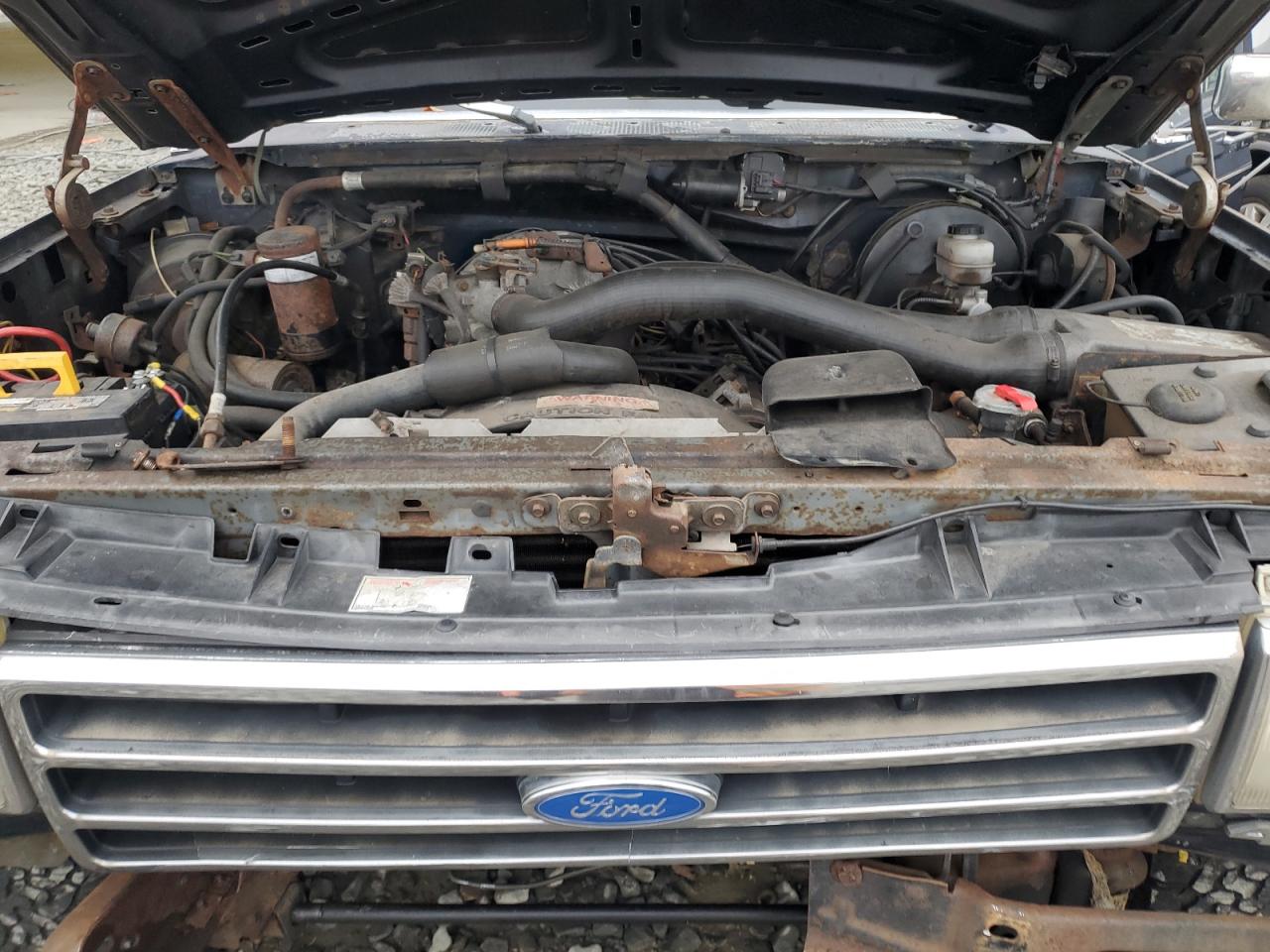 1989 Ford Bronco U100 VIN: 1FMEU15N9KLA76284 Lot: 90451625