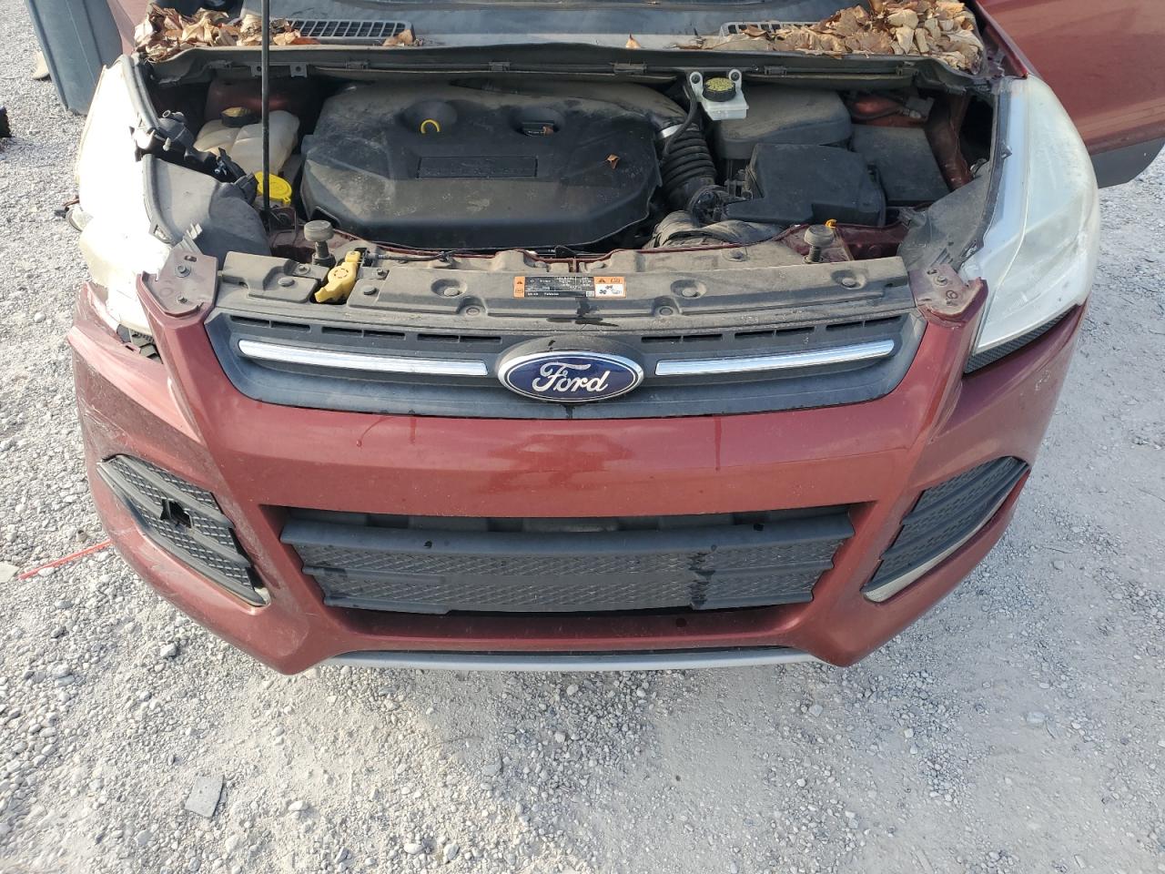 2014 Ford Escape Se VIN: 1FMCU0G92EUC52091 Lot: 84179625