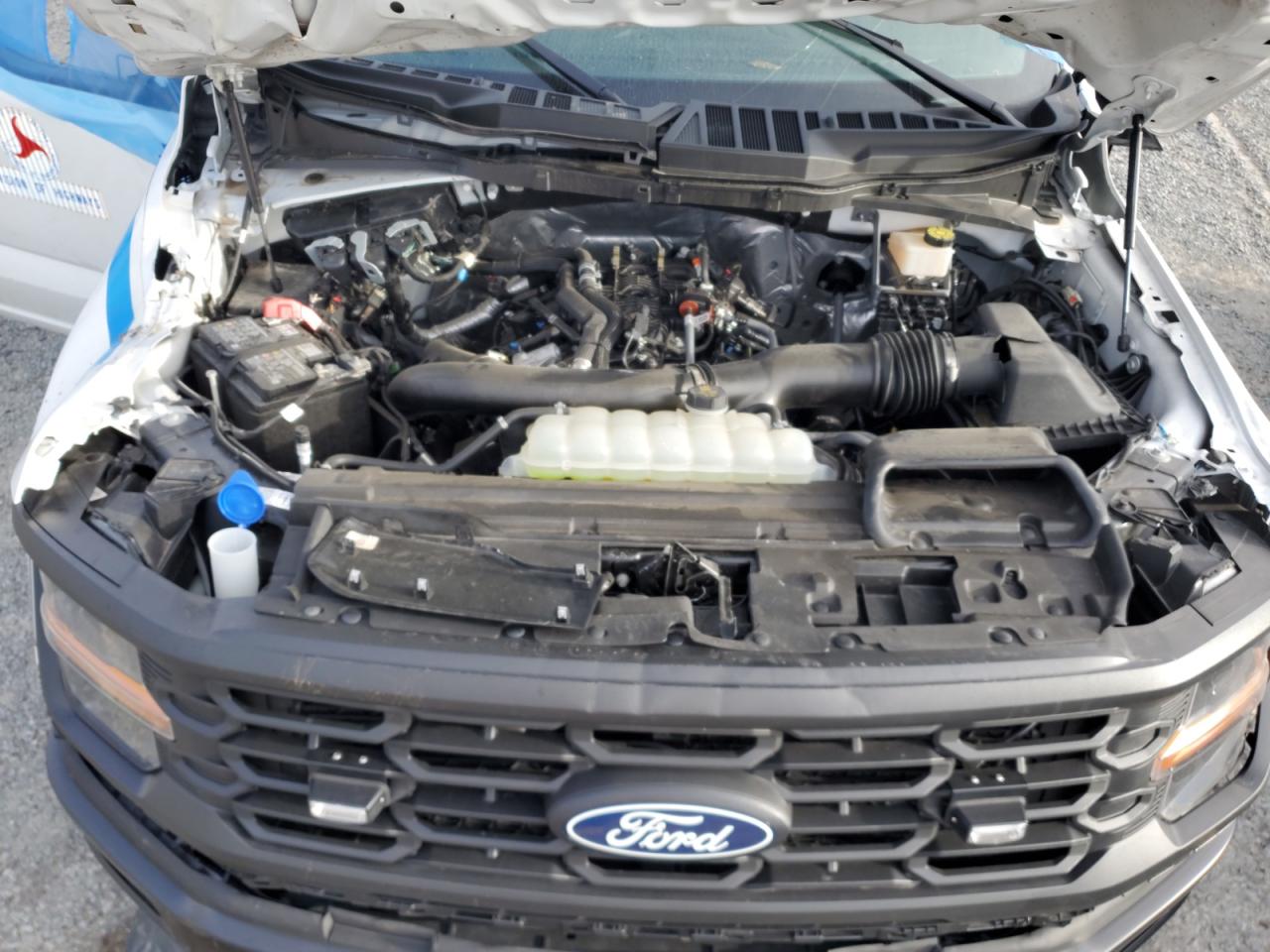 2024 Ford F150 Xl VIN: 1FTFW1L87RKF35733 Lot: 81753865