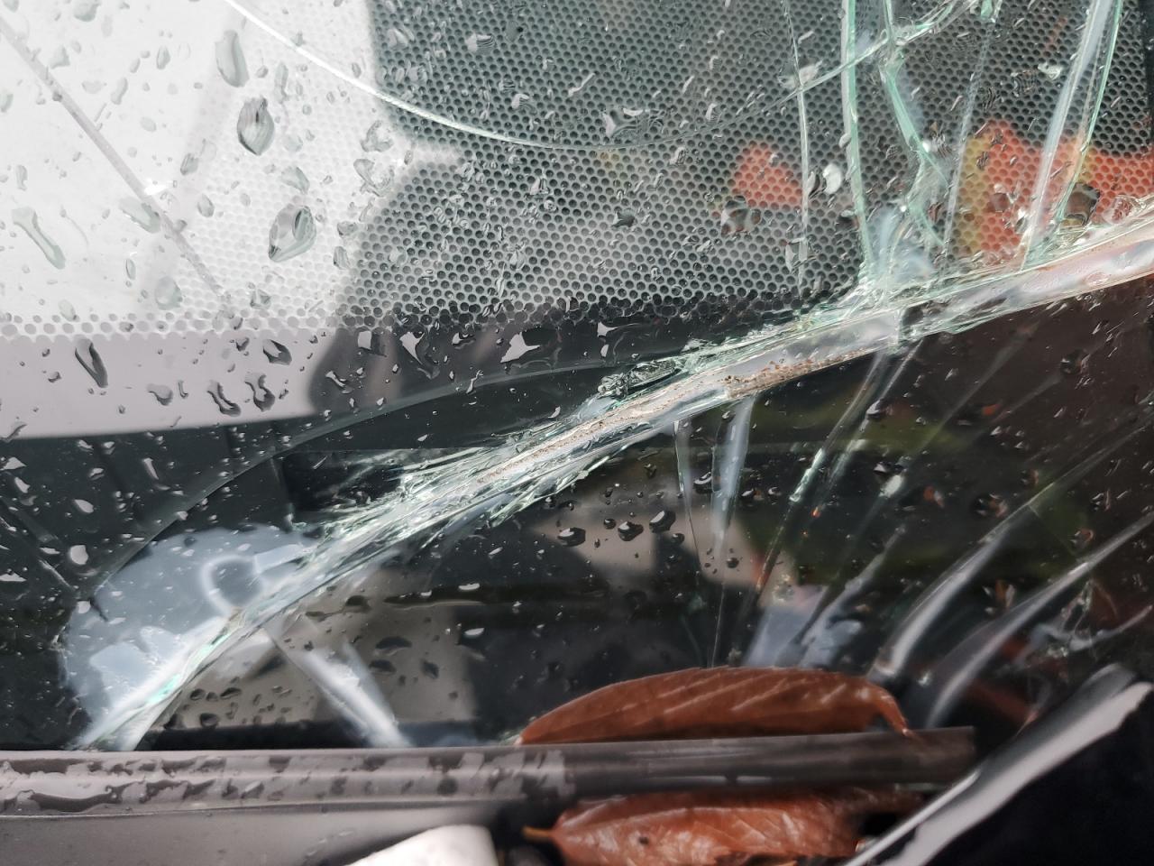 2021 Lexus Gx 460 Premium VIN: JTJAM7BX5M5276868 Lot: 90370915