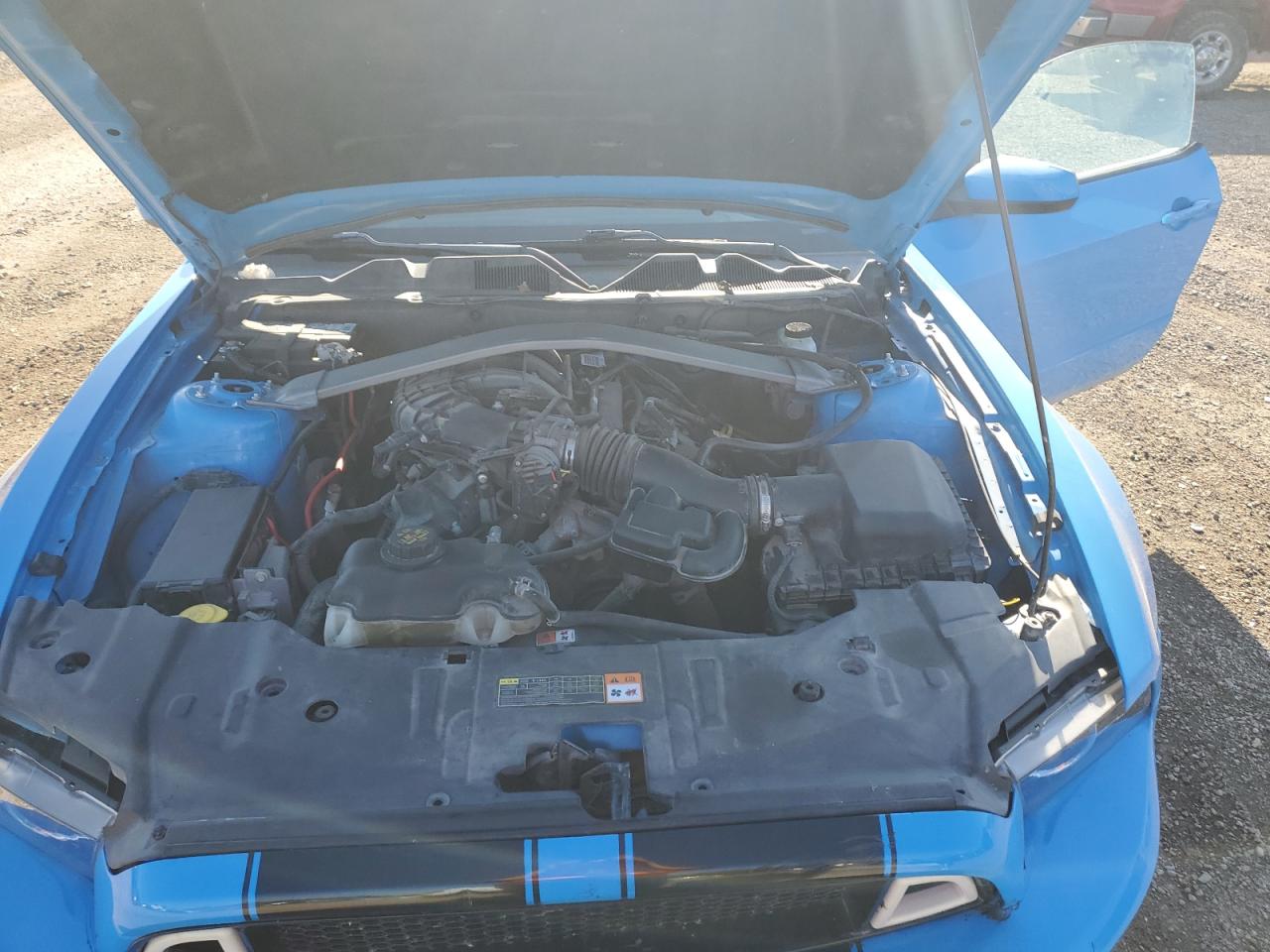 2013 Ford Mustang VIN: 1ZVBP8EM1D5203970 Lot: 85764875