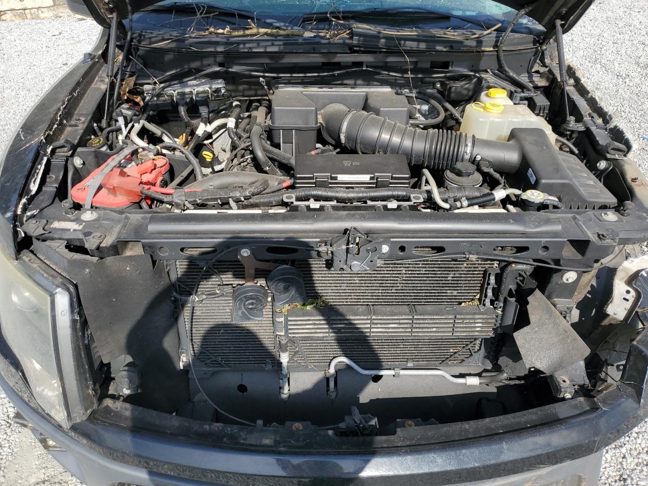 2014 Ford F150 Svt Raptor VIN: 1FTFW1R6XEFC47648 Lot: 85737035