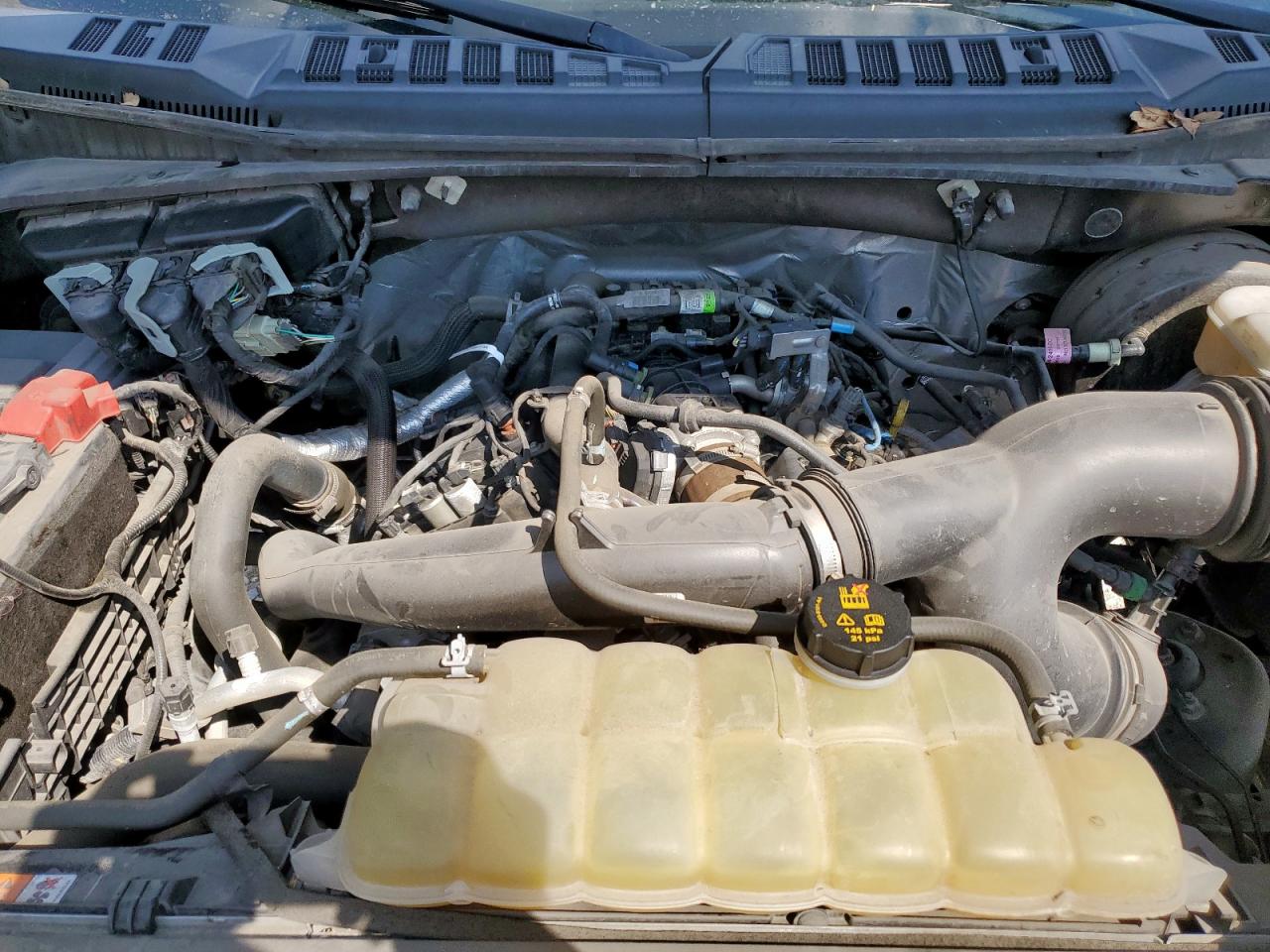 2019 Ford F150 Supercrew VIN: 1FTEW1CP4KFD54879 Lot: 84779695