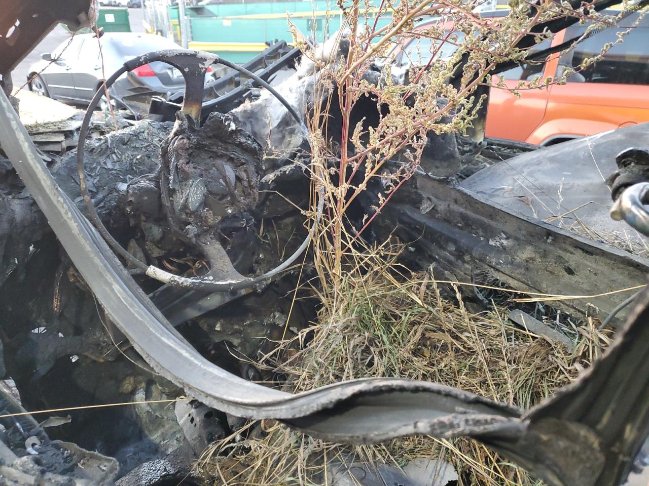 2019 Ford F150 Supercrew VIN: 1FTEW1E56KFB37717 Lot: 82699285