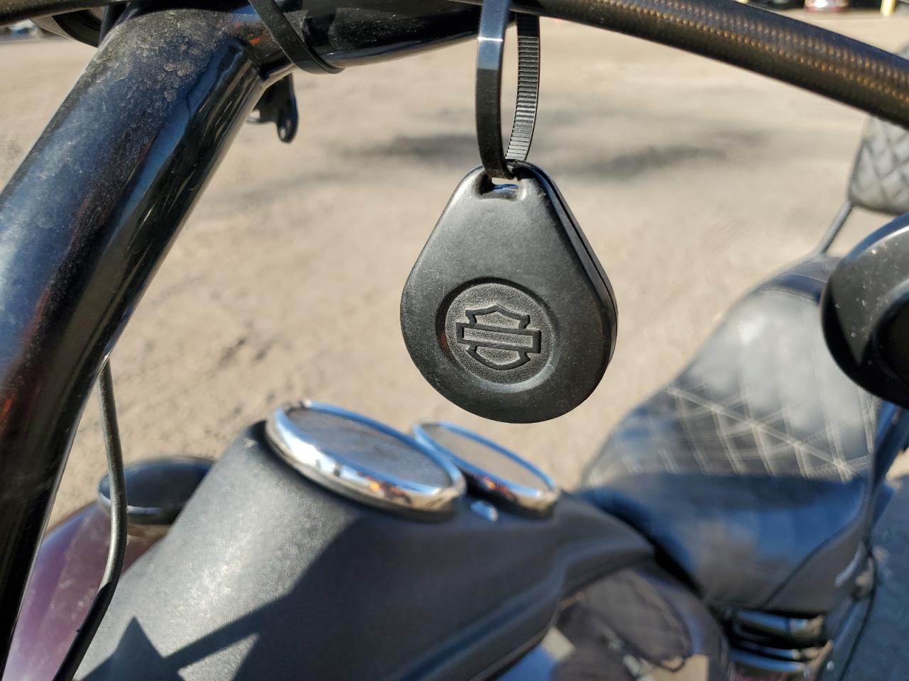 2021 Harley-Davidson Fxlrs VIN: 1HD1YWK10MB028217 Lot: 90085745