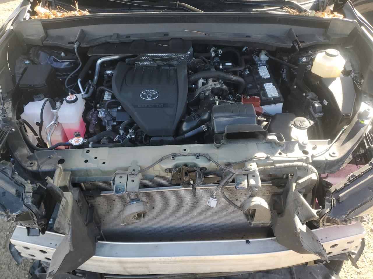 2024 Toyota Grand Highlander Xle VIN: 5TDAAAB57RS010860 Lot: 86142475