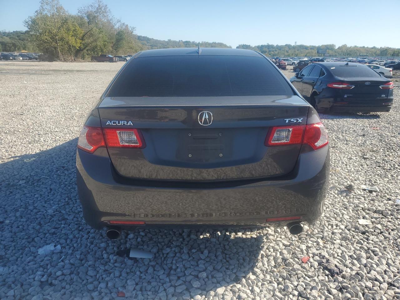 2010 Acura Tsx VIN: JH4CU2F66AC040879 Lot: 89458755