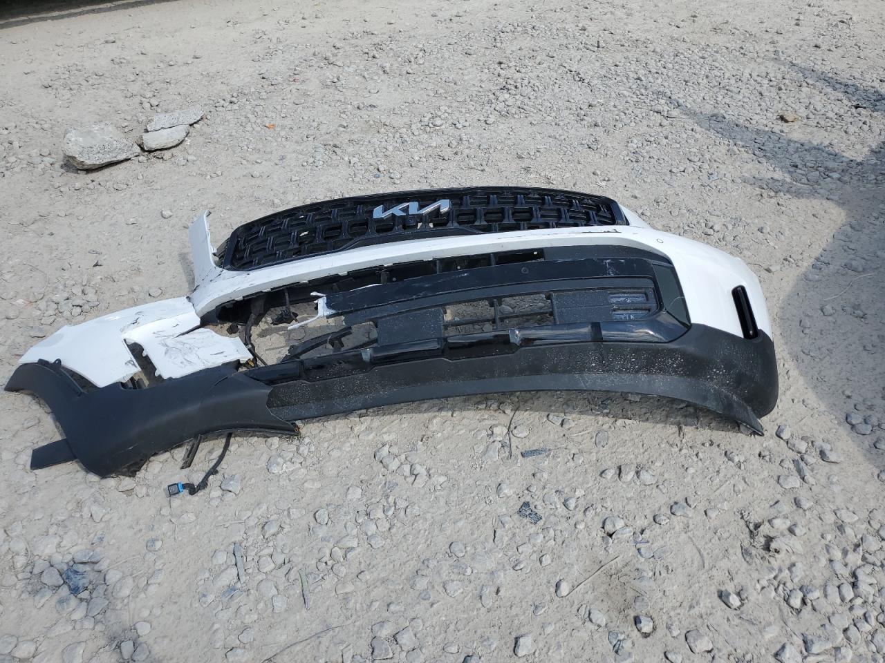 2024 Kia Telluride Sx VIN: 5XYP5DGC1RG442946 Lot: 85476515