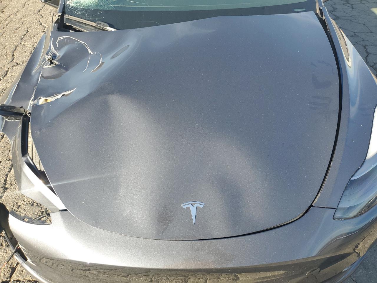 2023 Tesla Model Y VIN: 7SAYGDEE1PA210872 Lot: 90685975