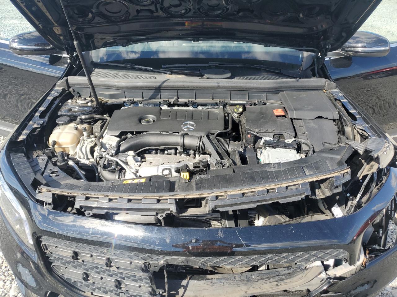 Фото: W1N4M4HB1LW033649