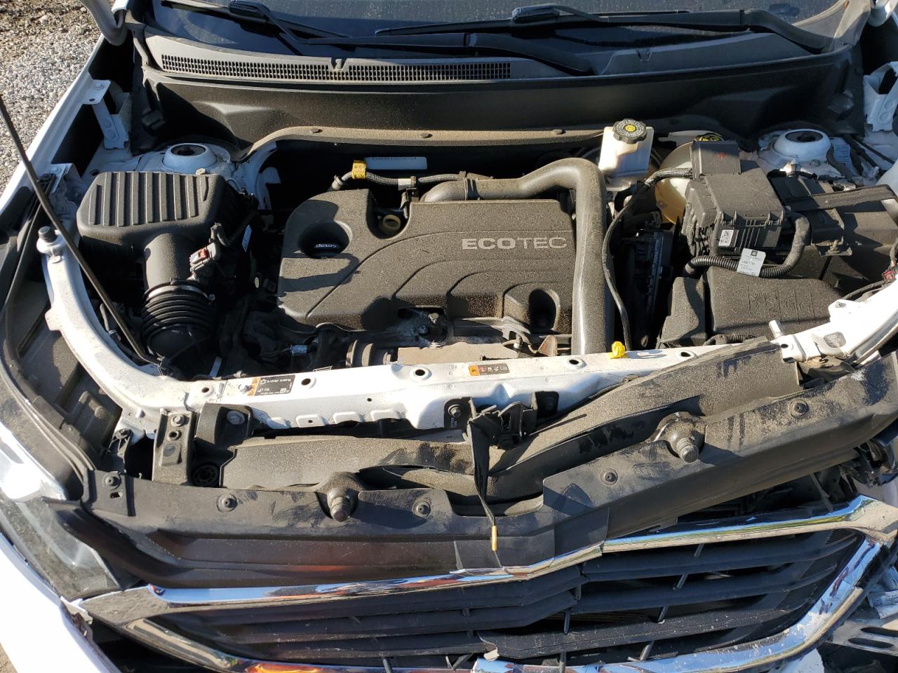 2019 Chevrolet Equinox Ls VIN: 3GNAXHEV7KS562743 Lot: 81970105